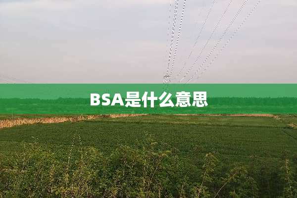 BSA是什么意思