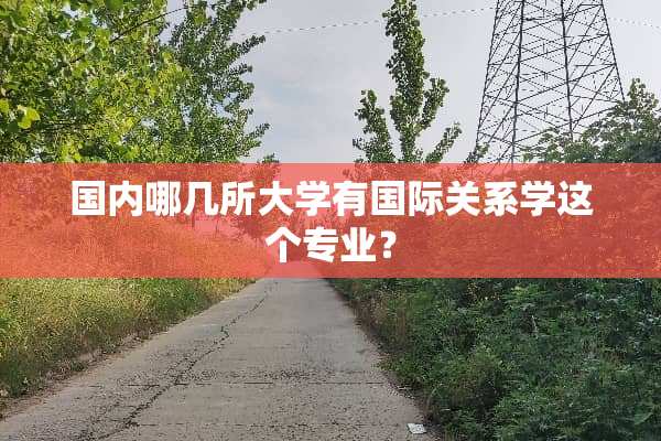 国内哪几所大学有国际关系学这个专业？