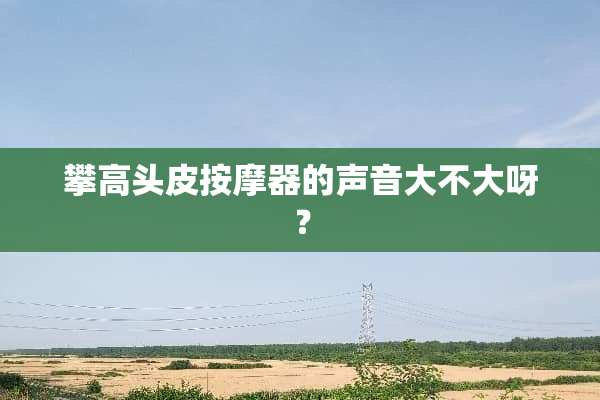 攀高头皮按摩器的声音大不大呀？