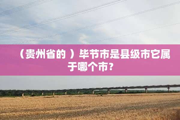 （贵州省的 ）毕节市是县级市它属于哪个市？