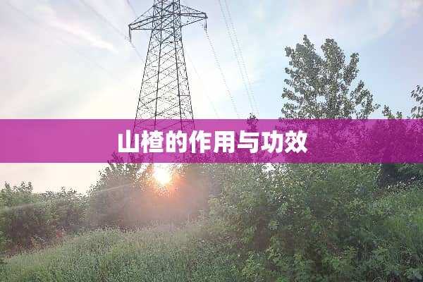 山楂的作用与功效