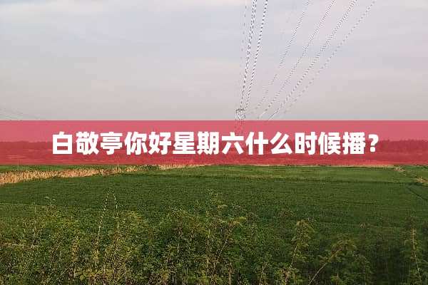 白敬亭你好星期六什么时候播？