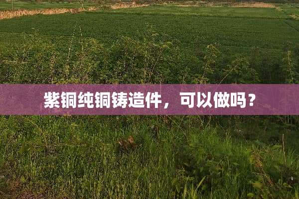紫铜纯铜铸造件，可以做吗？
