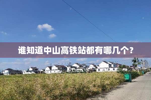 谁知道中山高铁站都有哪几个？