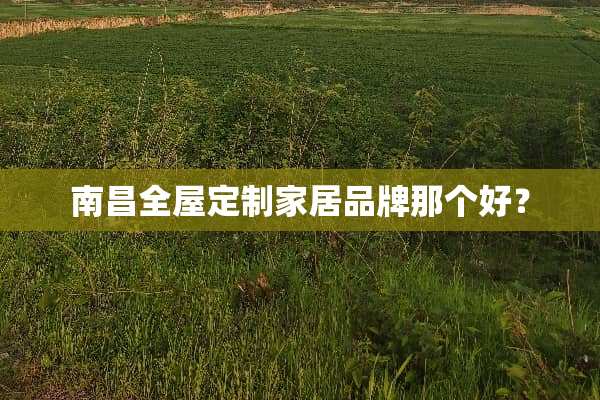 南昌全屋定制家居品牌那个好？