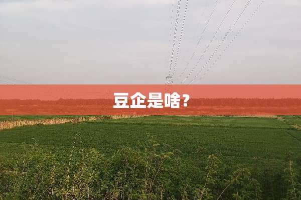 豆企是啥？