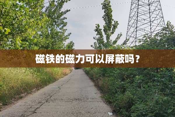 磁铁的磁力可以屏蔽吗？