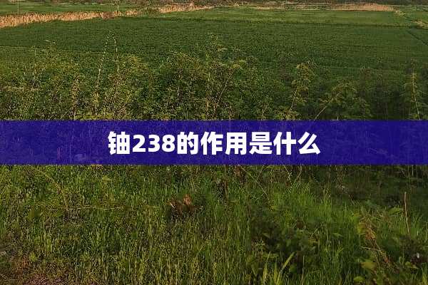 铀238的作用是什么