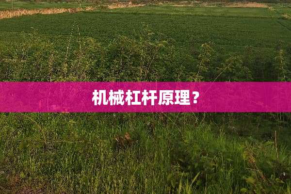 机械杠杆原理？