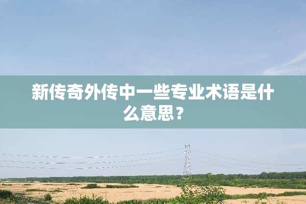 新传奇外传中一些专业术语是什么意思？