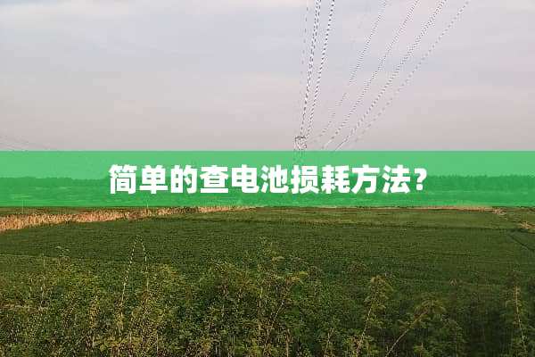简单的查电池损耗方法？