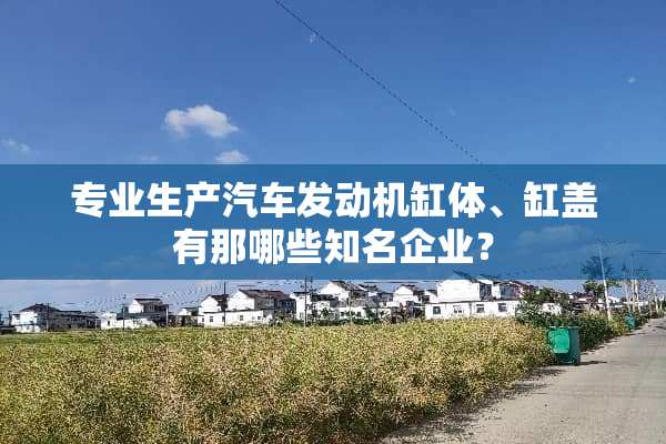 专业生产汽车发动机缸体、缸盖有那哪些知名企业？