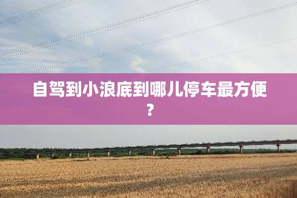 自驾到小浪底到哪儿停车最方便？