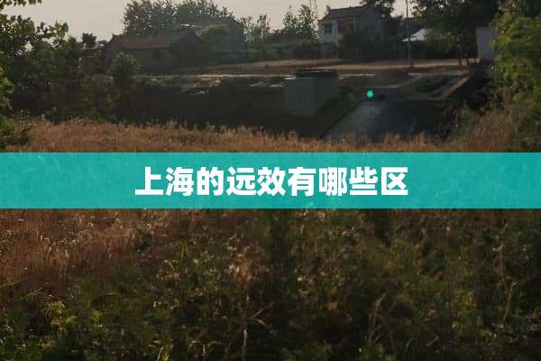 上海的远效有哪些区