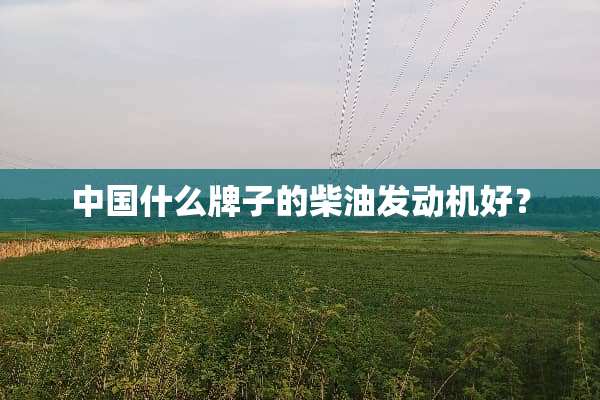中国什么牌子的柴油发动机好？