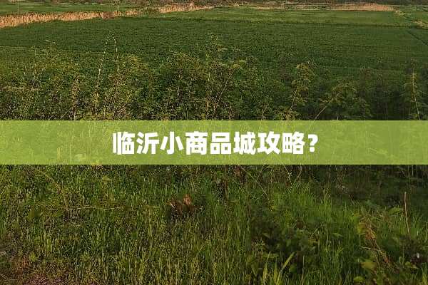 临沂小商品城攻略？