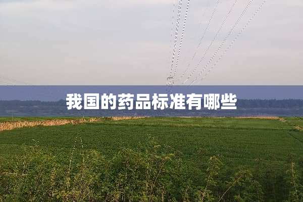 我国的药品标准有哪些