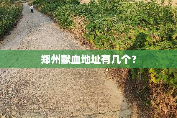 郑州献血地址有几个？