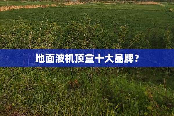 地面波机顶盒十大品牌？