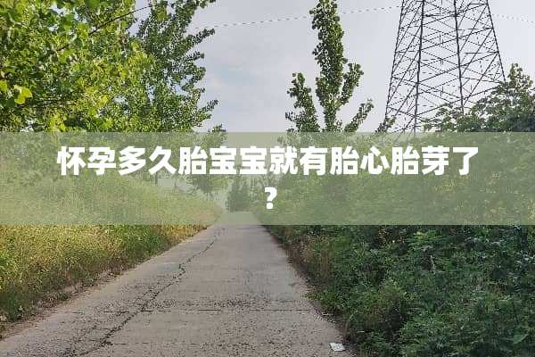 怀孕多久胎宝宝就有胎心胎芽了？