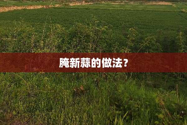 腌新蒜的做法？
