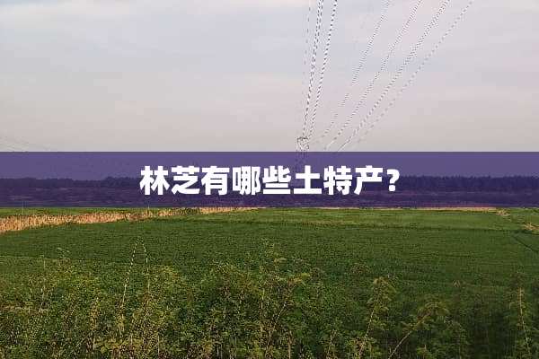 林芝有哪些土特产？