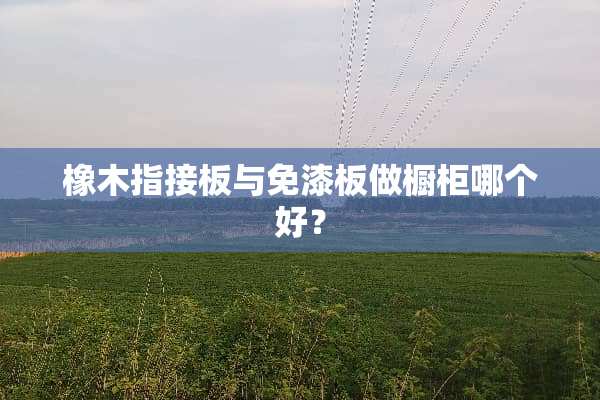 橡木指接板与免漆板做橱柜哪个好？