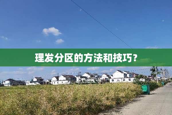 理发分区的方法和技巧？