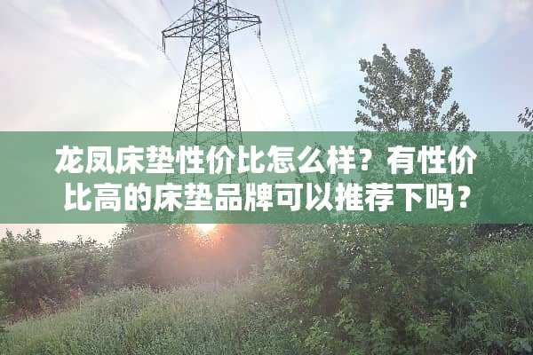 龙凤床垫性价比怎么样？有性价比高的床垫品牌可以推荐下吗？