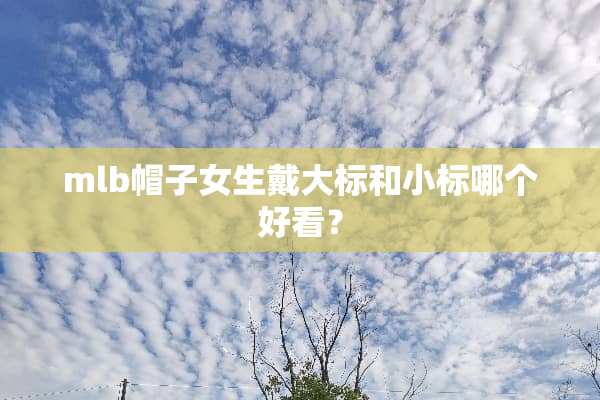 mlb帽子女生戴大标和小标哪个好看？