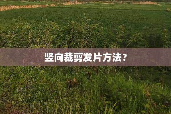 竖向裁剪发片方法？