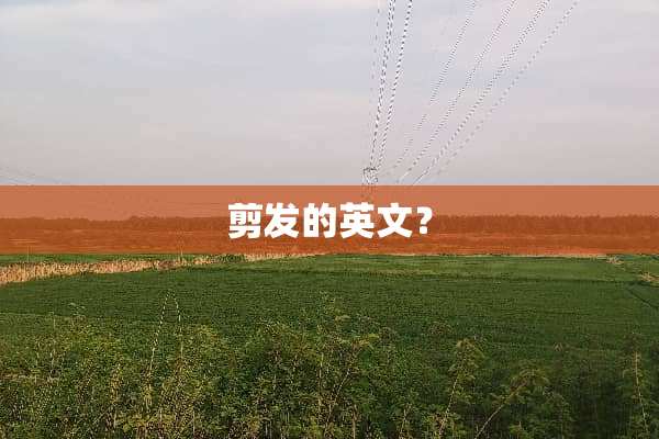 剪发的英文？