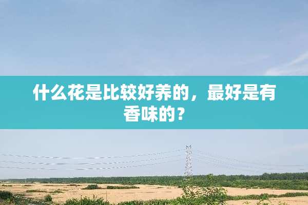 什么花是比较好养的，最好是有香味的？