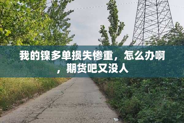 我的镍多单损失惨重，怎么办啊，期货吧又没人