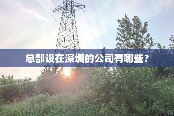 总部设在深圳的公司有哪些？