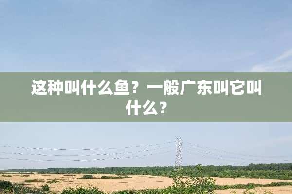 这种叫什么鱼？一般广东叫它叫什么？