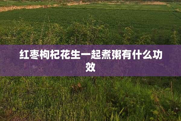 红枣枸杞花生一起煮粥有什么功效