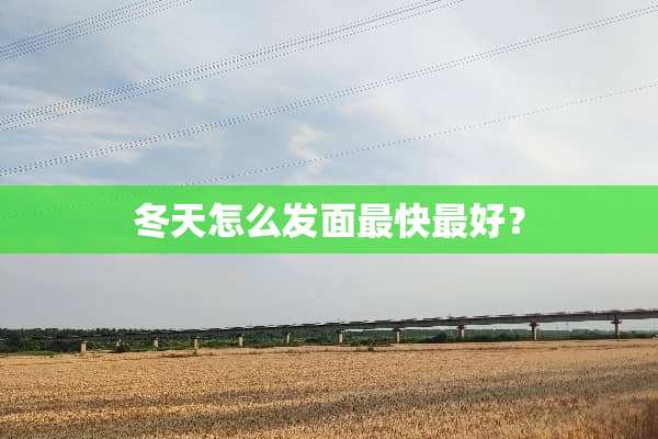 冬天怎么发面最快最好？