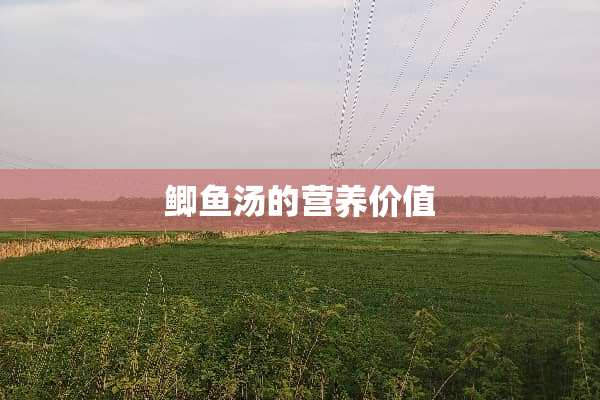 鲫鱼汤的营养价值