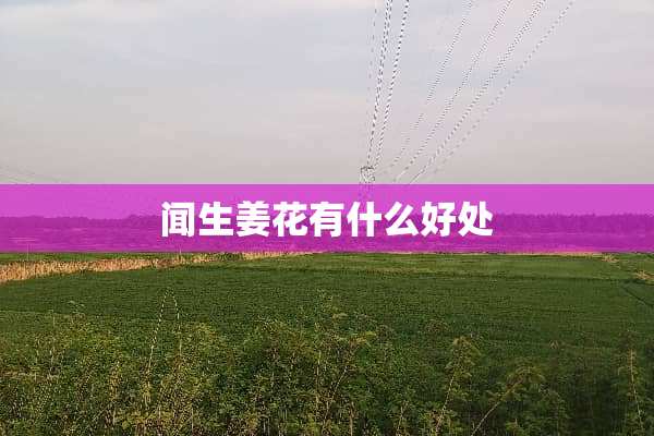 闻生姜花有什么好处
