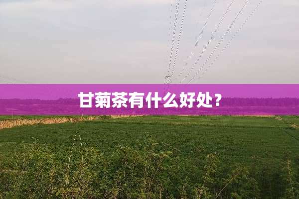 甘菊茶有什么好处？