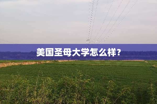 美国圣母大学怎么样？