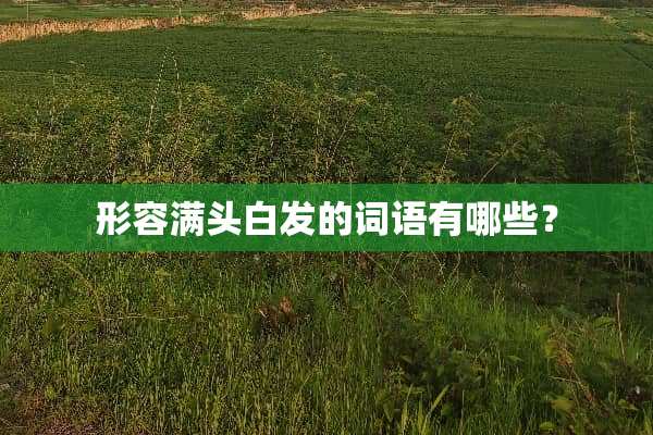 形容满头白发的词语有哪些？