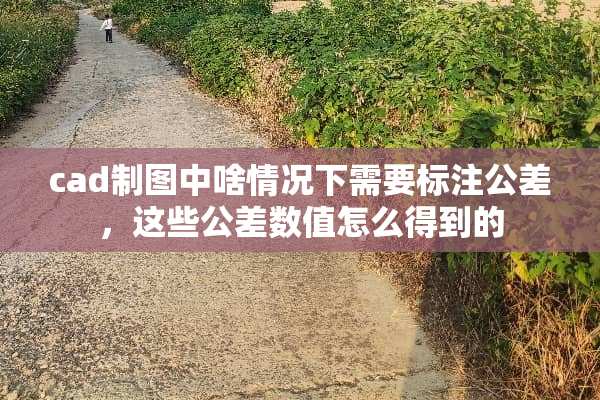 cad制图中啥情况下需要标注公差，这些公差数值怎么得到的
