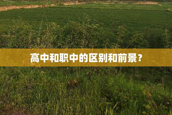 高中和职中的区别和前景？
