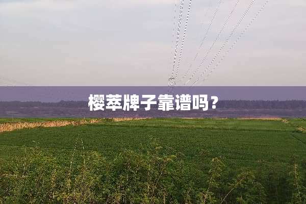 樱萃牌子靠谱吗？