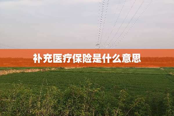 补充医疗保险是什么意思