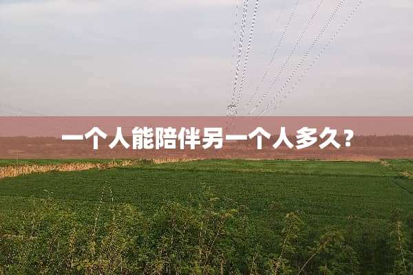 一个人能陪伴另一个人多久？