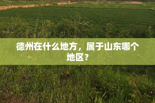 德州在什么地方，属于山东哪个地区？
