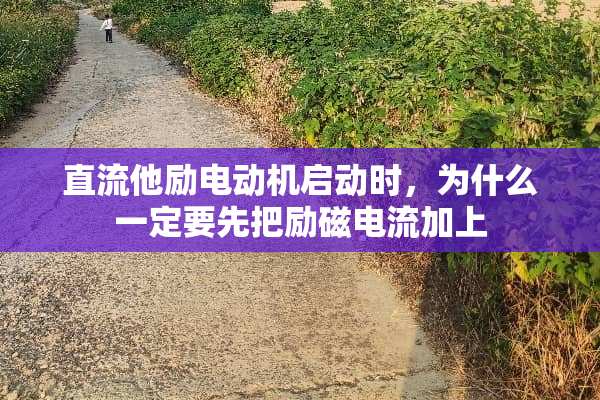 直流他励电动机启动时，为什么一定要先把励磁电流加上